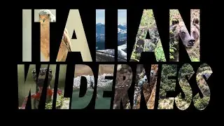 Fauna selvatica e natura italiana dalle alpi al mediterraneo | Biodiversità Italiana 4K