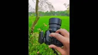 Nikon D5500 With 50mm f1.8 Photography |