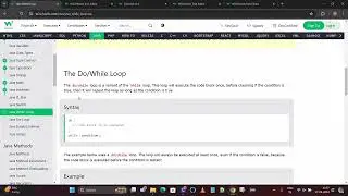 Java while loop |do while loop | Selenium