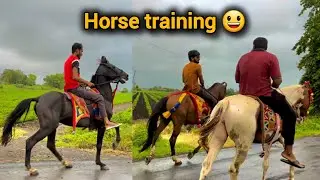 આજે તો બોવ જાજા ઘોડા ની સવારી કરી 😱 || marwadi horse ||