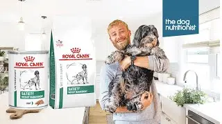 Royal Canin Satiety Weight Management Dry and Wet Dog Food Review - The Dog Nutritionist