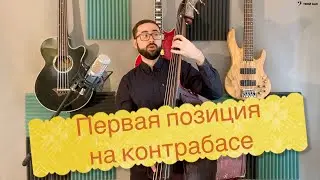 Первая позиция и положение локтя при игре на контрабасе