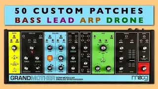 Moog Grandmother: 50 Patches: Bass, Lead, Arp, Chords Demo