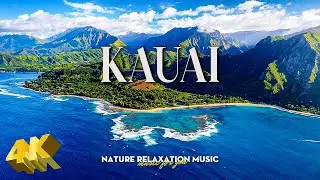 Kauai, 4K Ultra HD • Enchanting Forest Trails, Tranquil Nature Footage with Soft Piano Melodies.