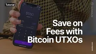 How can I consolidate Bitcoin UTXOs to reduce transaction fees? / Exodus Tutorial