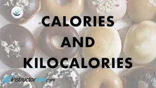 Calories and Kilocalories