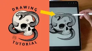 Drawing Snakeskin in Procreate and Photoshop