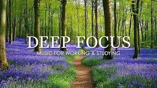 Work Music for Concentration - 12 Hours of Ambient Study Music to Concentrate #15