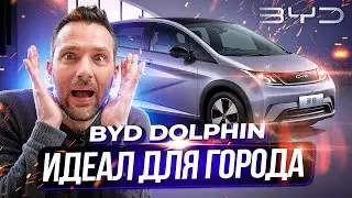 Дельфины ВМЕСТО МАШИН! BYD Dolphin 2024. НЕДОСТАТКИ! САМЫЙ ПОЛНЫЙ ОБЗОР! Тест-Драйв.