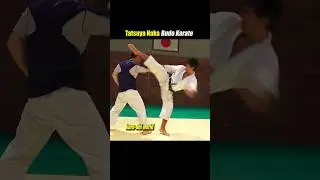 Vertical and lateral three-dimensional attack in Karate