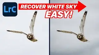 EASY TRICK to Fix WHITE SKIES in Lightroom Classic