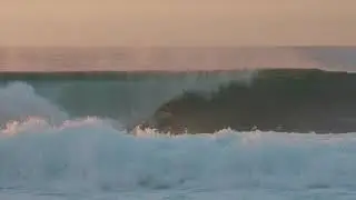 Surf or Die