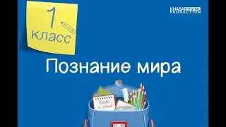 Познание мира. 1 класс. Я и моя школа /02.10.2020/