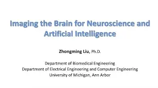 BrainMap: Imaging the brain for neuroscience and artificial intelligence