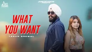 What You Want (Official Song) Tarun Grewal | Punjabi Song 2024 | Punjabi Song | Jass Studios