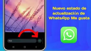 Opción Me gusta para el estado de WhatsApp - Nueva actualización de WhatsApp