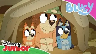 C'mon, Grandad | Bluey 💙 | Disney Junior MENA