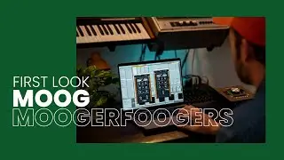 FIRST LOOK! Moog Moogerfooger Effects Collection!