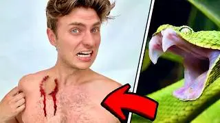 A Snake ATTACKED Me!