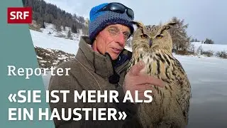 Der Mann mit dem Vogel – Ein Schweizer Hobby-Ornithologe und seine Eule | Reporter | SRF