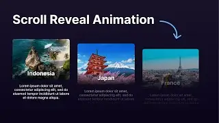 Scroll Reveal Animation Website Tutorial