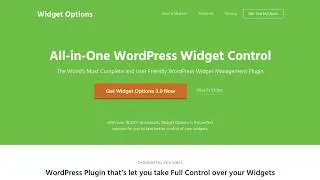Widget Options for WordPress