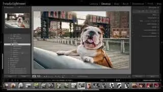 Lightroom 5 - Cómo Instalar Los Presets Que Bajo De Internet? (Tutorial)