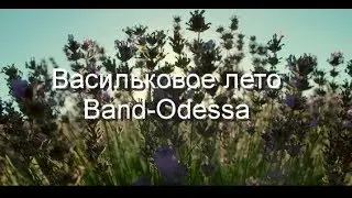 Васильковое лето - BAND ODESSA