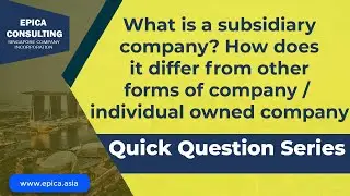 What is a subsidiary company how is it different from other ownership type in a company.