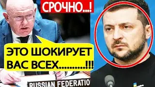 Россия в ООН! Срочно! ЭКСТРЕННОЕ заявление по Украине! Вот что готовит Зеленский для Запада!