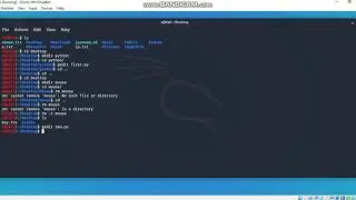 Create python file in kali linux