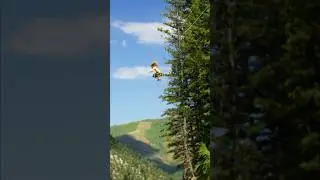 NEVER jump out of a TREE this high!