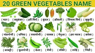 Green Vegetables | vegetables name in english and hindi | सब्जियों के नाम | vegetables name