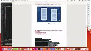 Chapter 2 Flutter basics