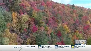 Exploring Tennessee: Fall colors arrive to Tellico Plains and Cherohala Skyway