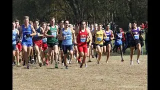 Men's 10K Race - 2019 NCAA D2 Midwest XC Regional