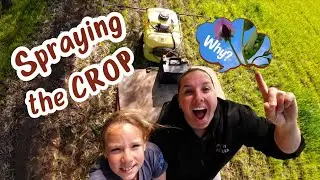 Why are we SPRAYING the crop??