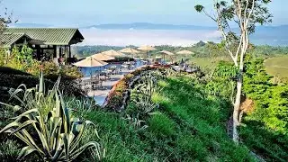 Hacienda AltaGracia Perez Zeledon Costa Rica