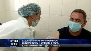 Вакцины против коронавируса: безопасность и эффективность