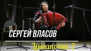 гармонист Сергей Власов  Цыганочка 2 (авторская обработка С. Власова)