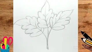 Easy To Draw Autumn Leaf