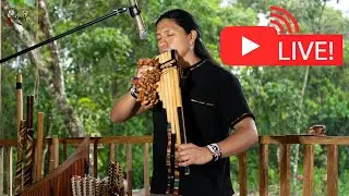 Live the Andean Sounds from Nature.