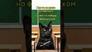 Школьник обманул английский язык 🤣 #мем #котики