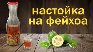 Настойка на фейхоа самогоне. Рецепт настойки, очень полезная, домашняя настойка.