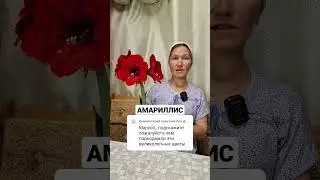 СТРЕСС ПРОВОЦИРУЕТ ЦВЕТЕНИЕ 