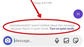 instagram wasn't notified about this message because they're in quiet mode,quiet mode enable