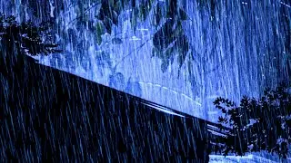 Intense Stormy Night to Sleep Instantly | Sound Rain on Tin Roof, Heavy Thunder and Storm Wind