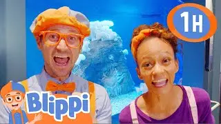 Blippi and Meekah Explore an Aquarium! | 1 HOUR OF BLIPPI! | Celebrating International Women's Day!