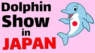 Dolphins show in Japan