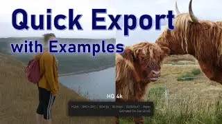 Quick Export in Adobe Premiere Pro